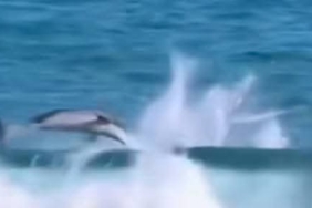 FB_IMG_1736593820739