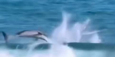 FB_IMG_1736593820739