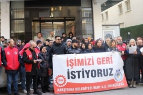 780x411-1739215732838