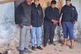 izmir39de-at-kesimine-sucustu