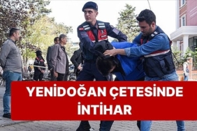 s-d75817a8620d3a849359b32dd568256e453796d2