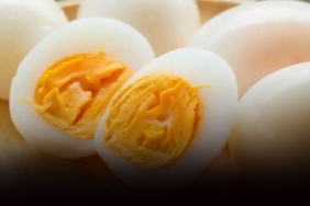 17-haslanmis-yumurta1