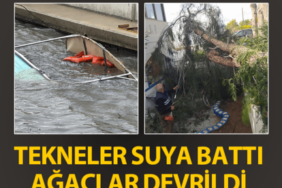 414x358-bodrumda-firtina-ve-saganak-tekneler-suya-gomuldu-agaclar-devrildi-1743505930724