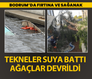 414x358-bodrumda-firtina-ve-saganak-tekneler-suya-gomuldu-agaclar-devrildi-1743505930724