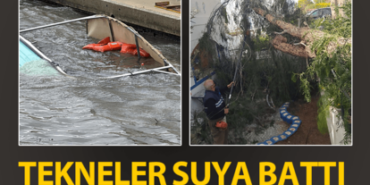 414x358-bodrumda-firtina-ve-saganak-tekneler-suya-gomuldu-agaclar-devrildi-1743505930724