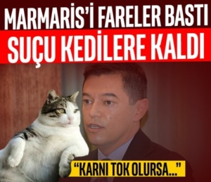 414x358-marmarisi-fare-basti-baskan-sucu-kediye-atti-1744403870954