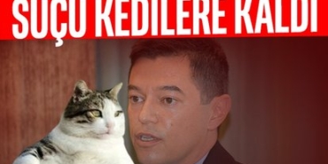 414x358-marmarisi-fare-basti-baskan-sucu-kediye-atti-1744403870954