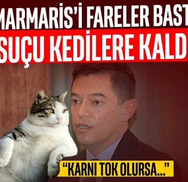 414x358-marmarisi-fare-basti-baskan-sucu-kediye-atti-1744403870954