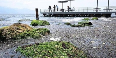 TBMMden-Izmir-e-korfez-kirliligi-uyarisi-Atik-su-hatlari-denetlenmeli-acilen-dip-taramasi-yapilmali-358742_man_big (1)