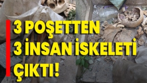 3-posett