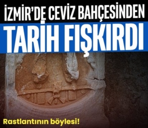 414x358-izmirde-ceviz-bahcesinden-tarih-fiskirdi-1746804523900