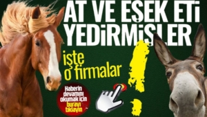 gidada-hile-yapan-firmalar-at-ve-esek-eti-yedirmisler