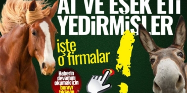 gidada-hile-yapan-firmalar-at-ve-esek-eti-yedirmisler