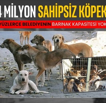 414x358-yuzlerce-belediyenin-barinak-kapasitesi-yok-1749063445946