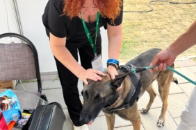 IMG-20250905-WA0043(1)