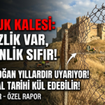 IMG_20260510_110854